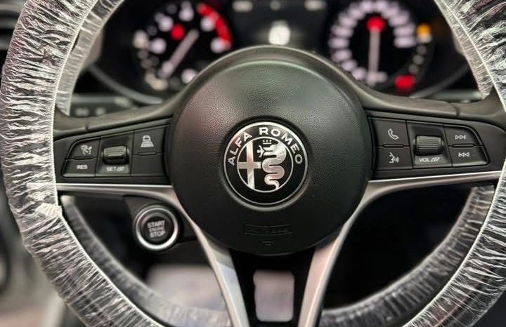 
								Alfa Romeo Giulia 2.2 TD 160 CV AT8 ESTREMA FULL 2020 full									