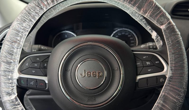 
								Jeep Renegade 1.6 Multijet 120 CV Limited 2015 full									
