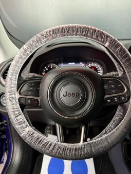 
										Jeep Renegade 1.6 Multijet 120 CV Limited 2019 full									