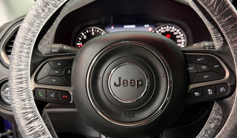 
								Jeep Renegade 1.6 Multijet 120 CV Limited 2019 full									