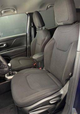 
										Jeep Renegade 1.6 Multijet 120 CV Limited 2019 full									