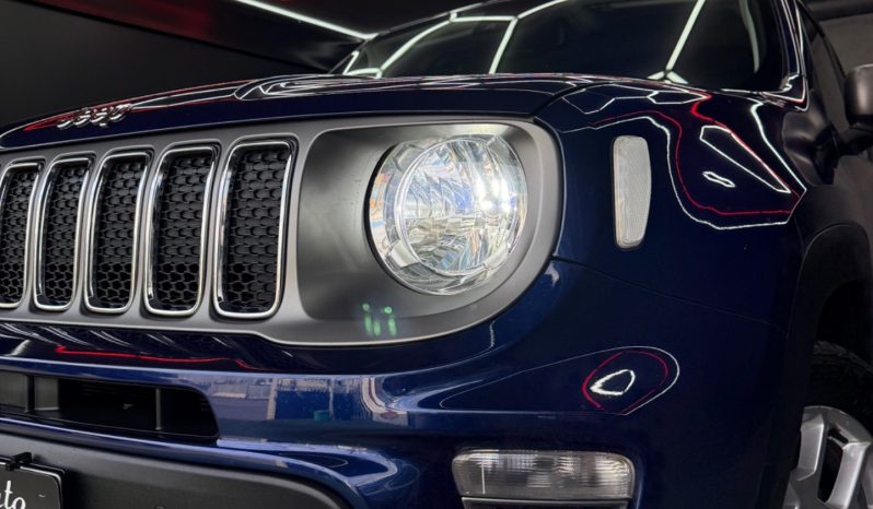 
								Jeep Renegade 1.6 Multijet 120 CV Limited 2019 full									