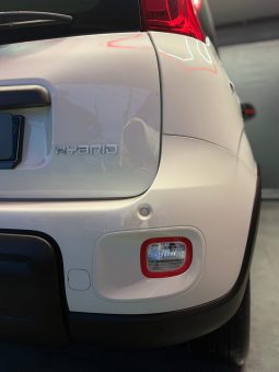 
										Fiat Panda 1.0 Hybrid City Cross 29000 KM full									