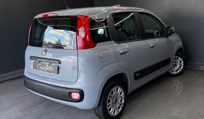 
								Fiat Panda 1.2 Benzina Lounge 12/2018 full									