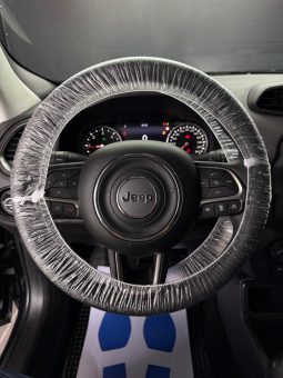 
										Jeep Renegade 1.6 Multijet 130 CV Limited 2021 full									