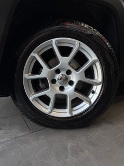 
										Jeep Renegade 1.6 Multijet 130 CV Limited 2021 full									