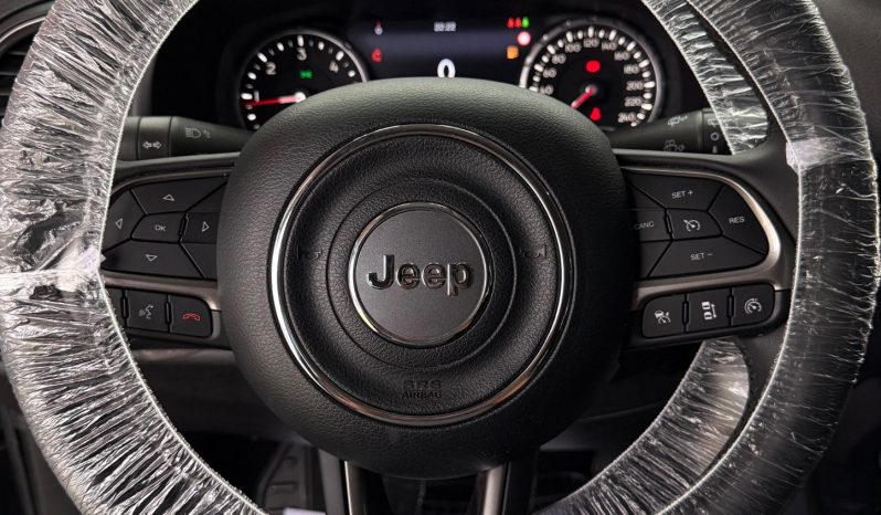 
								Jeep Renegade 1.6 Multijet 120 CV Limited 11/2018 full									