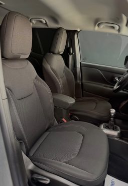 
										Jeep Renegade 1.6 Multijet 130 CV Limited 2021 full									