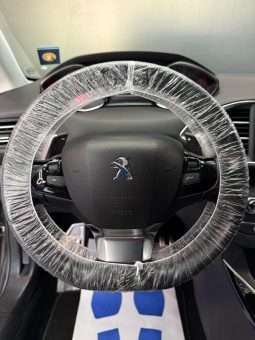 
										Peugeot 308 1.5 BlueHDi 130cv EAT8 Tech Edition FULL full									