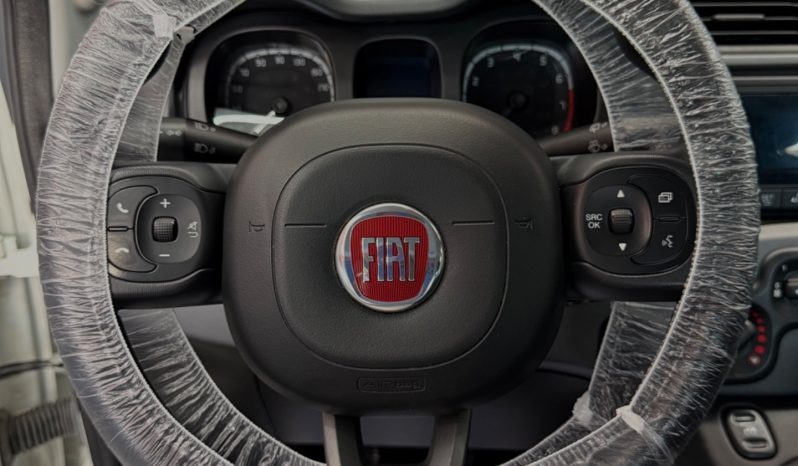 
								Fiat Panda 1.0 Hybrid City Cross 2022 full									
