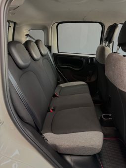 
										Fiat Panda 1.0 Hybrid City Cross 2022 full									