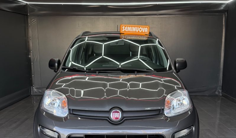 
								Fiat Panda 1.0 Hybrid City Cross 2023 full									