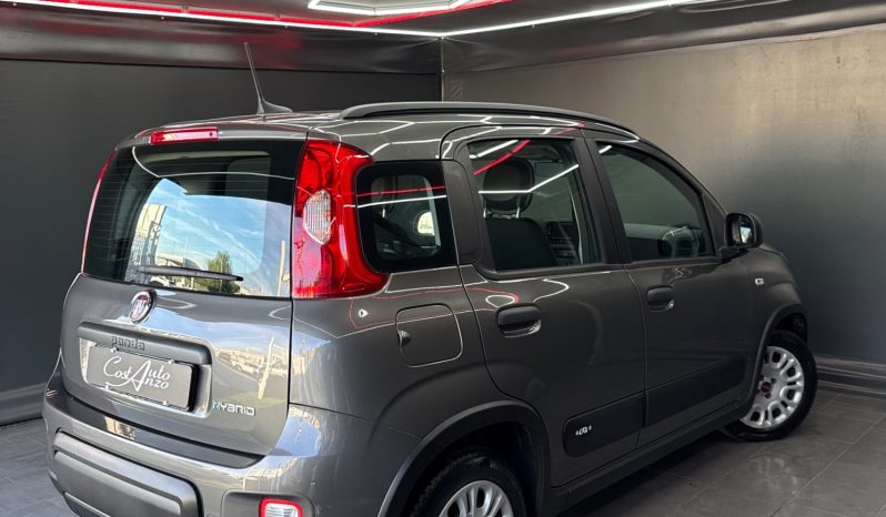 
								Fiat Panda 1.0 Hybrid City Cross 2023 full									