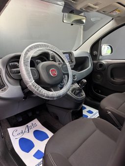 
										Fiat Panda 1.0 Hybrid City Cross 2023 full									