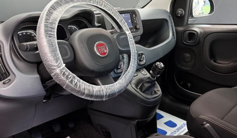 
								Fiat Panda 1.0 Hybrid City Cross 2023 full									