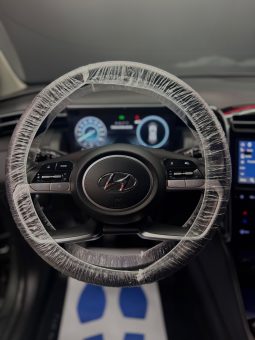 
										Hyundai Tucson 1.6 CRDI 116 Cv XLine 11/2022 full									