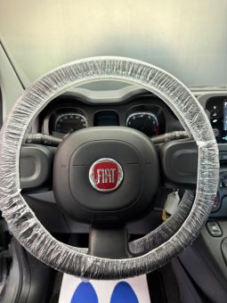
										Fiat Panda 1.0 Hybrid City Cross 2023 full									