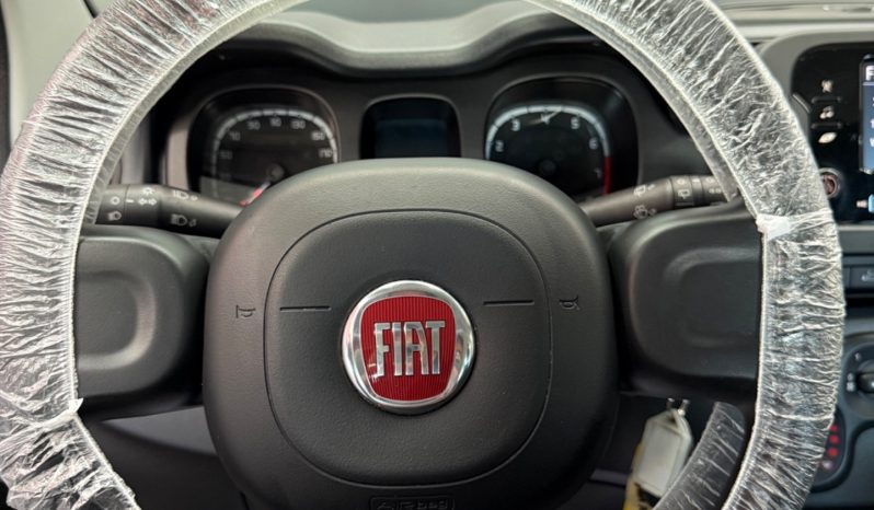
								Fiat Panda 1.0 Hybrid City Cross 2023 full									