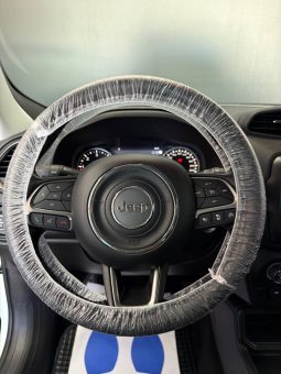 
										Jeep Renegade 1.6 Multijet DDCT 120 CV Limited 10/2019 full									