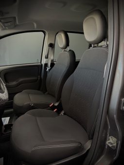 
										Fiat Panda 1.0 Hybrid City Cross 2023 full									