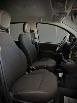 
										Fiat Panda 1.0 Hybrid City Cross 2023 full									