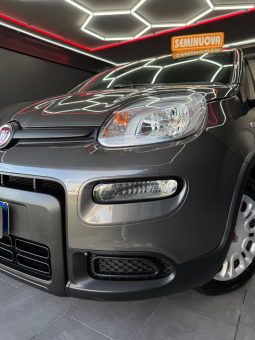 
										Fiat Panda 1.0 Hybrid City Cross 2023 full									