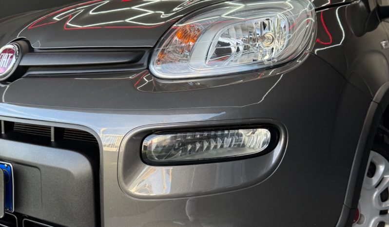 
								Fiat Panda 1.0 Hybrid City Cross 2023 full									