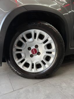 
										Fiat Panda 1.0 Hybrid City Cross 2023 full									