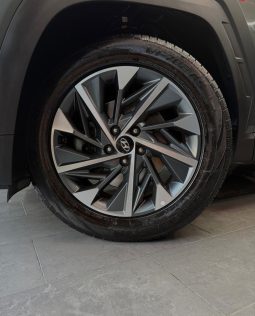 
										Hyundai Tucson 1.6 CRDI 116 Cv XLine 11/2022 full									